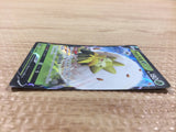 CB1689 Eldegoss V Grass RR S4a 016/190 Pokemon Card TCG Japan