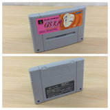 Ghost Sweeper Mikami BOXED SNES Super Famicom Japan - UC6742