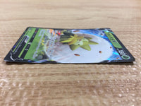 CB1691 Eldegoss V Grass RR S4a 016/190 Pokemon Card TCG Japan