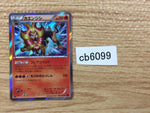 CB6099 Pyroar Fire R XY4 012/088 Pokemon Card TCG Japan