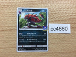 CC4660 Zoroark Dark PROMO PROMO 162/SM-P Pokemon Card TCG Japan