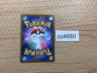 CC4660 Zoroark Dark PROMO PROMO 162/SM-P Pokemon Card TCG Japan