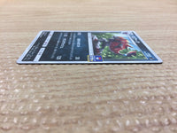 CC4660 Zoroark Dark PROMO PROMO 162/SM-P Pokemon Card TCG Japan