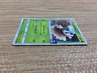 cb9993 Decidueye GrassGhost PROMO 028/SM-P Pokemon Card TCG Japan