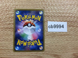 CB9994 Decidueye GrassGhost PROMO 028/SM-P Pokemon Card TCG Japan