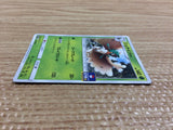 CB9994 Decidueye GrassGhost PROMO 028/SM-P Pokemon Card TCG Japan