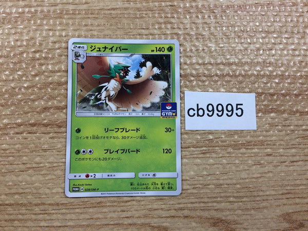 CB9995 Decidueye GrassGhost PROMO 028/SM-P Pokemon Card TCG Japan