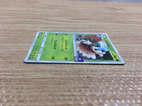 CB9995 Decidueye GrassGhost PROMO 028/SM-P Pokemon Card TCG Japan