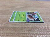 CB9995 Decidueye GrassGhost PROMO 028/SM-P Pokemon Card TCG Japan