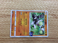 CB9996 Passimian Fighting PROMO 031/SM-P Pokemon Card TCG Japan