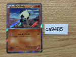 CA9485 Pancham FightingPROMO 015/XY-P Pokemon Card TCG Japan