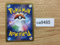 CA9485 Pancham FightingPROMO 015/XY-P Pokemon Card TCG Japan