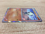 CA9485 Pancham FightingPROMO 015/XY-P Pokemon Card TCG Japan