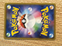 CD2219 Hiker Su PROMO PROMO 107/SM-P Pokemon Card TCG Japan