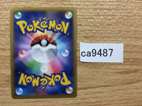 CA9487 Pancham FightingPROMO 015/XY-P Pokemon Card TCG Japan