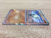 CA9487 Pancham FightingPROMO 015/XY-P Pokemon Card TCG Japan