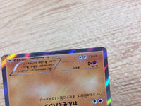 CA9487 Pancham FightingPROMO 015/XY-P Pokemon Card TCG Japan