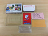 Crystalis God Slayer Haruka Tenkuu no Sonata BOXED NES Famicom Japan - UD7788
