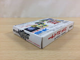 Crystalis God Slayer Haruka Tenkuu no Sonata BOXED NES Famicom Japan - UD7788