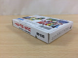 Crystalis God Slayer Haruka Tenkuu no Sonata BOXED NES Famicom Japan - UD7788