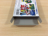 Crystalis God Slayer Haruka Tenkuu no Sonata BOXED NES Famicom Japan - UD7788