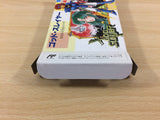 Crystalis God Slayer Haruka Tenkuu no Sonata BOXED NES Famicom Japan - UD7788