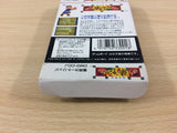 Hiden Inyou Kikouden Cada BOXED GameBoy Game Boy Japan - UC8211