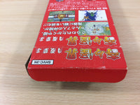 UC5046 Kiki Kaikai Tsukiyo Soushi Pocky & Rocky 2 BOXED SNES