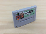 Theme Park BOXED SNES Super Famicom Japan - UD5643