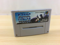 ua9091 Sonic Wings Aero Fighters BOXED SNES Super Famicom Japan