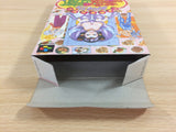Gourmet Sentai Bara Yarou Bishoku BOXED SNES Super Famicom Japan - UD3371