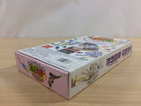 Gourmet Sentai Bara Yarou Bishoku BOXED SNES Super Famicom Japan - UD3371