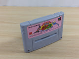 Gourmet Sentai Bara Yarou Bishoku BOXED SNES Super Famicom Japan - UD3371