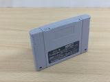 Gourmet Sentai Bara Yarou Bishoku BOXED SNES Super Famicom Japan - UD3371