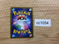 cc1054 Ice Rider Calyrex VMAX Water RRR s8b 044/184 Pokemon Card TCG Japan
