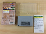 Haou Taikei Ryuu Knight Lord of Paladin BOXED SNES Super Famicom Japan - UB3906