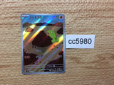 CC5980 Larvitar RockGround AR SV3 114/108 Pokemon Card TCG Japan