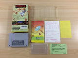 Dino Wars BOXED SNES Super Famicom Japan - UD5665