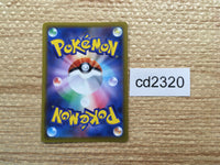 CD2320 Digging Duo Su PROMO PROMO 300/S-P Pokemon Card TCG Japan