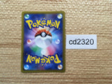 CD2320 Digging Duo Su PROMO PROMO 300/S-P Pokemon Card TCG Japan