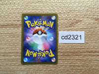 CD2321 Digging Duo Su PROMO PROMO 300/S-P Pokemon Card TCG Japan
