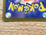 CD2321 Digging Duo Su PROMO PROMO 300/S-P Pokemon Card TCG Japan