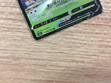 CB3623 Eldegoss V Grass RR S4a 016/190 Pokemon Card TCG Japan