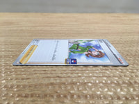 CD2333 Honey Su PROMO PROMO 164/S-P Pokemon Card TCG Japan