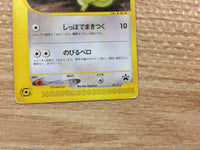 CB4516 Kecleon Normal - PROMO 001/P Pokemon Card TCG Japan
