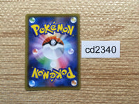 CD2340 Toxtricity V ElectricPoison PROMO PROMO 048/S-P Pokemon Card TCG Japan