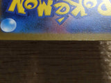 CC9858 Pyroar Fire AR SV1a 077/073 Pokemon Card TCG Japan