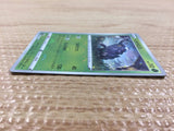 CB7690 Heracross Grass C s9a 005/067 Pokemon Card TCG Japan