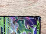 CB7695 Virizion V Grass RR s9a 010/067 Pokemon Card TCG Japan