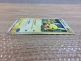 CC9910 Pikachu Electric PROMO PROMO 043/PCG-P Pokemon Card TCG Japan